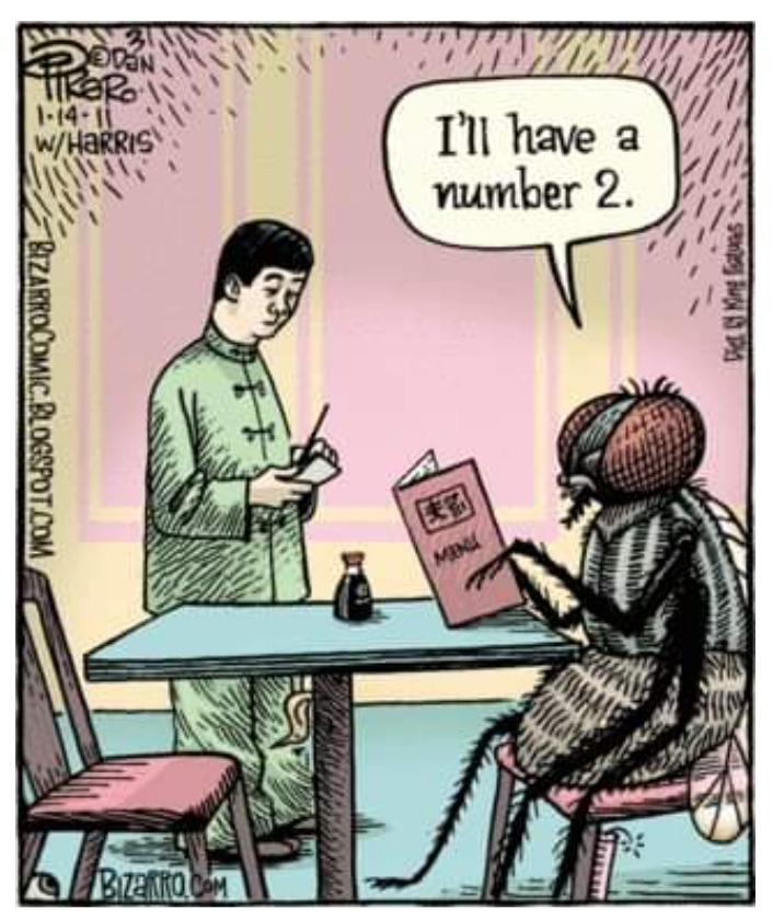 Fly selects number 2