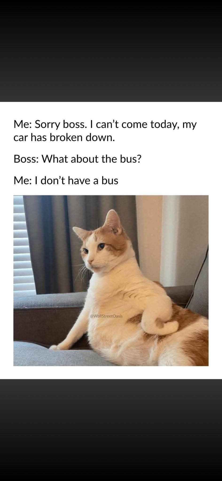 Me: Sorry boss. I can't come today, my car has broken down.
Boss: What about the bus?
Me: I don't have a bus