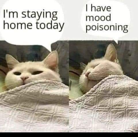 I'm staying in bed today
I have mood poisoning