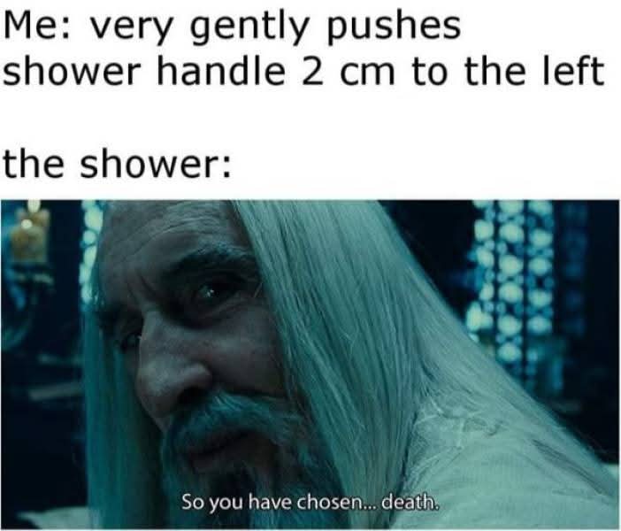 Me: very gently pushes shower handle 2 cm to the left
the shower: So you have chosen... death.