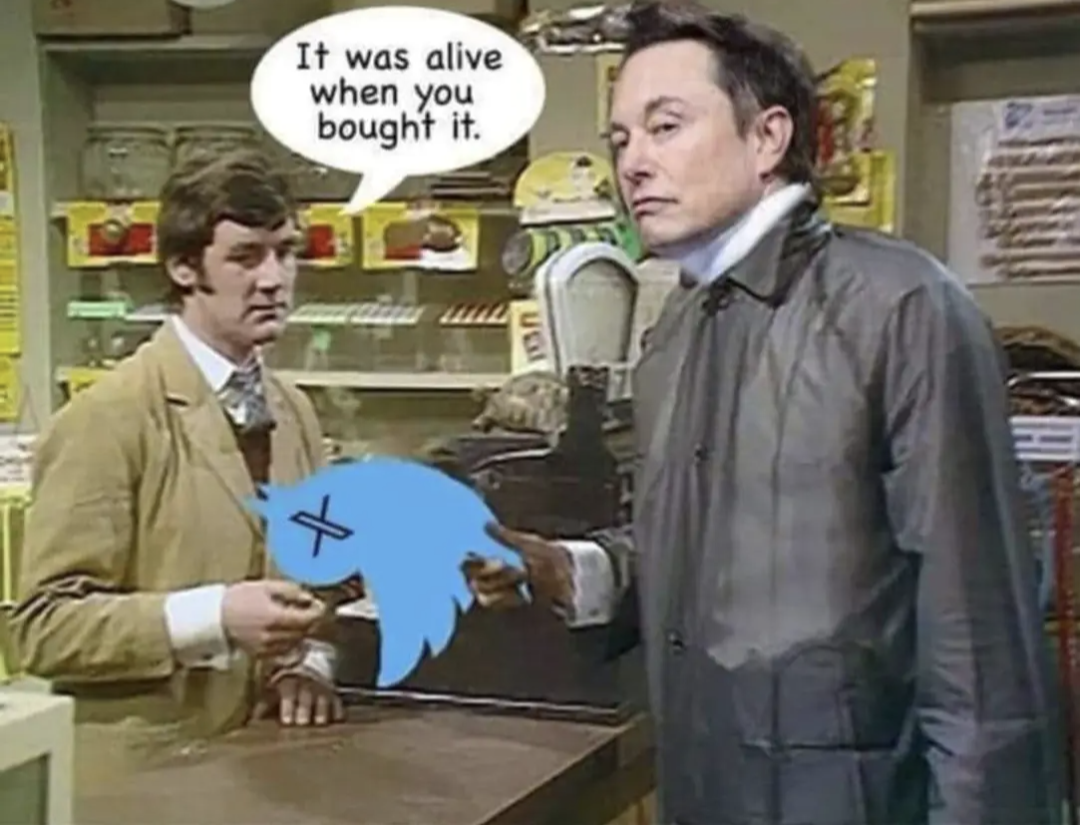 It was alive when you bought it.