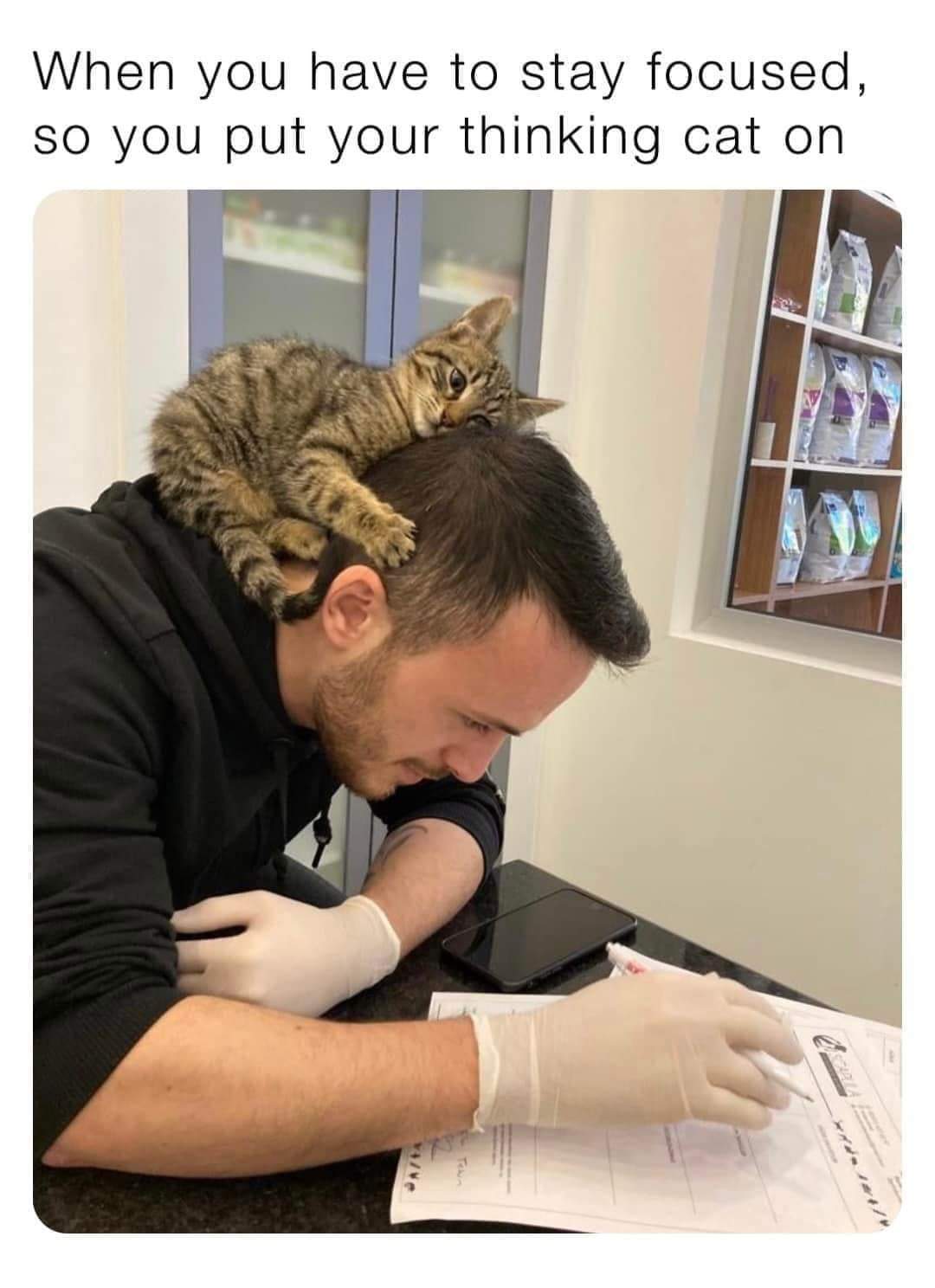 When you have to stay focused, so you put your thinking cat on