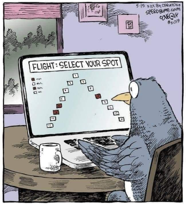 Flight: Select your spot