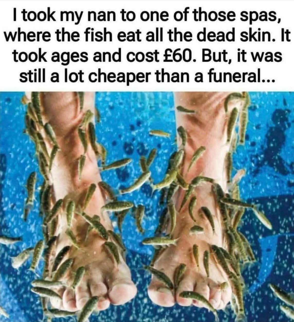 I took my nan to one of those spas, where the fish eat all the dead skin. It took ages and cost £60. 
But, it was still a lot cheaper than a funeral...