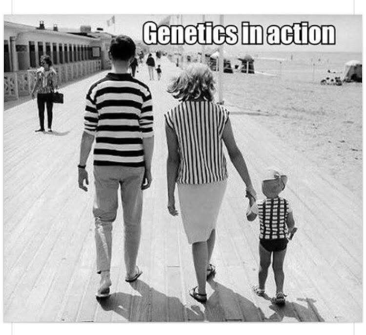 Genetics in action