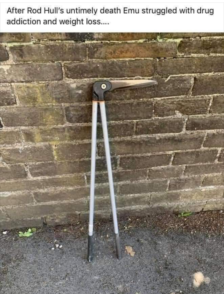 After Rod Hull's untimely death, Emu struggled with drug addiction and weight loss.