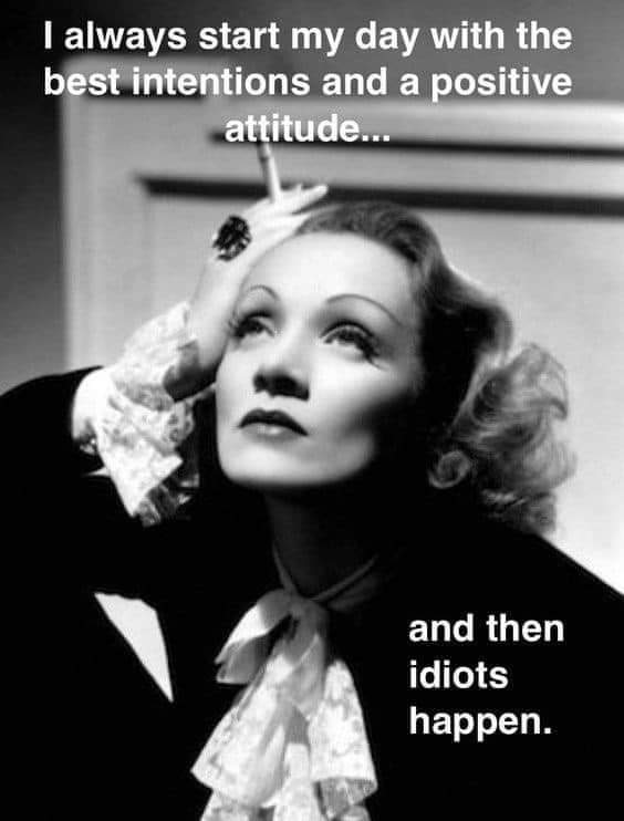 I always start the day with the best intentions and a positive attitude...
and then idiots happen.