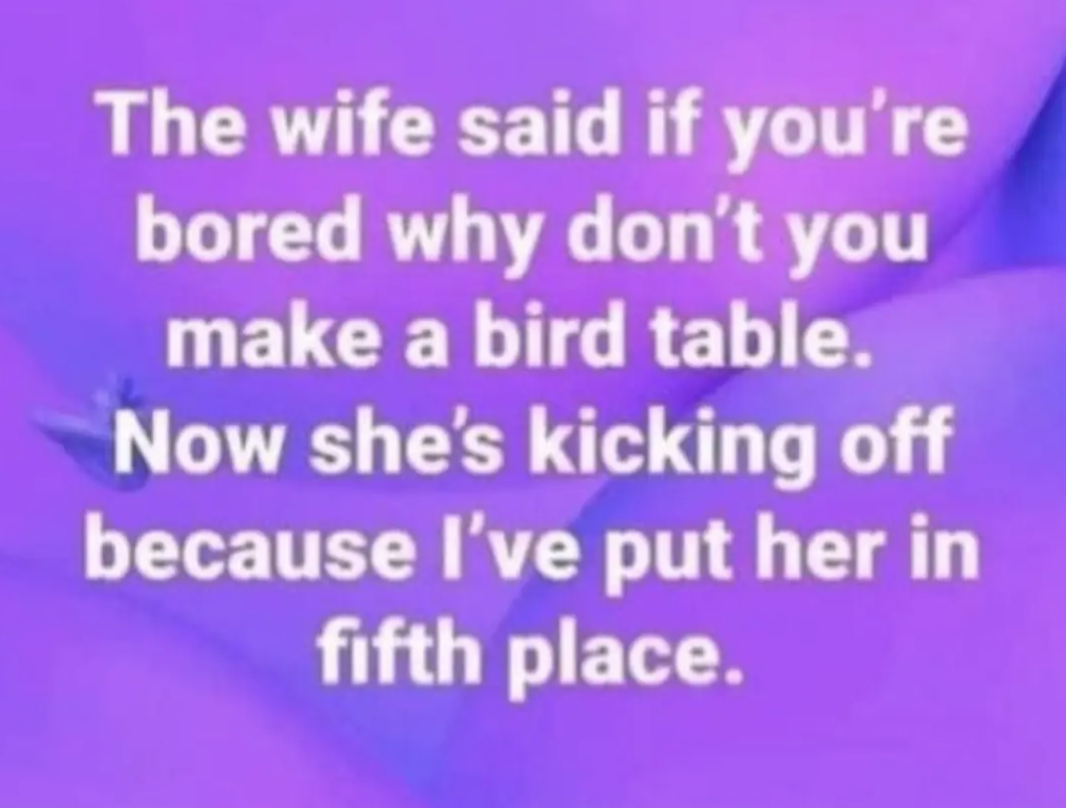 The wife said if you're bored why don't you make a bird table.
Now she's kicking off because I've put her in fifth place.