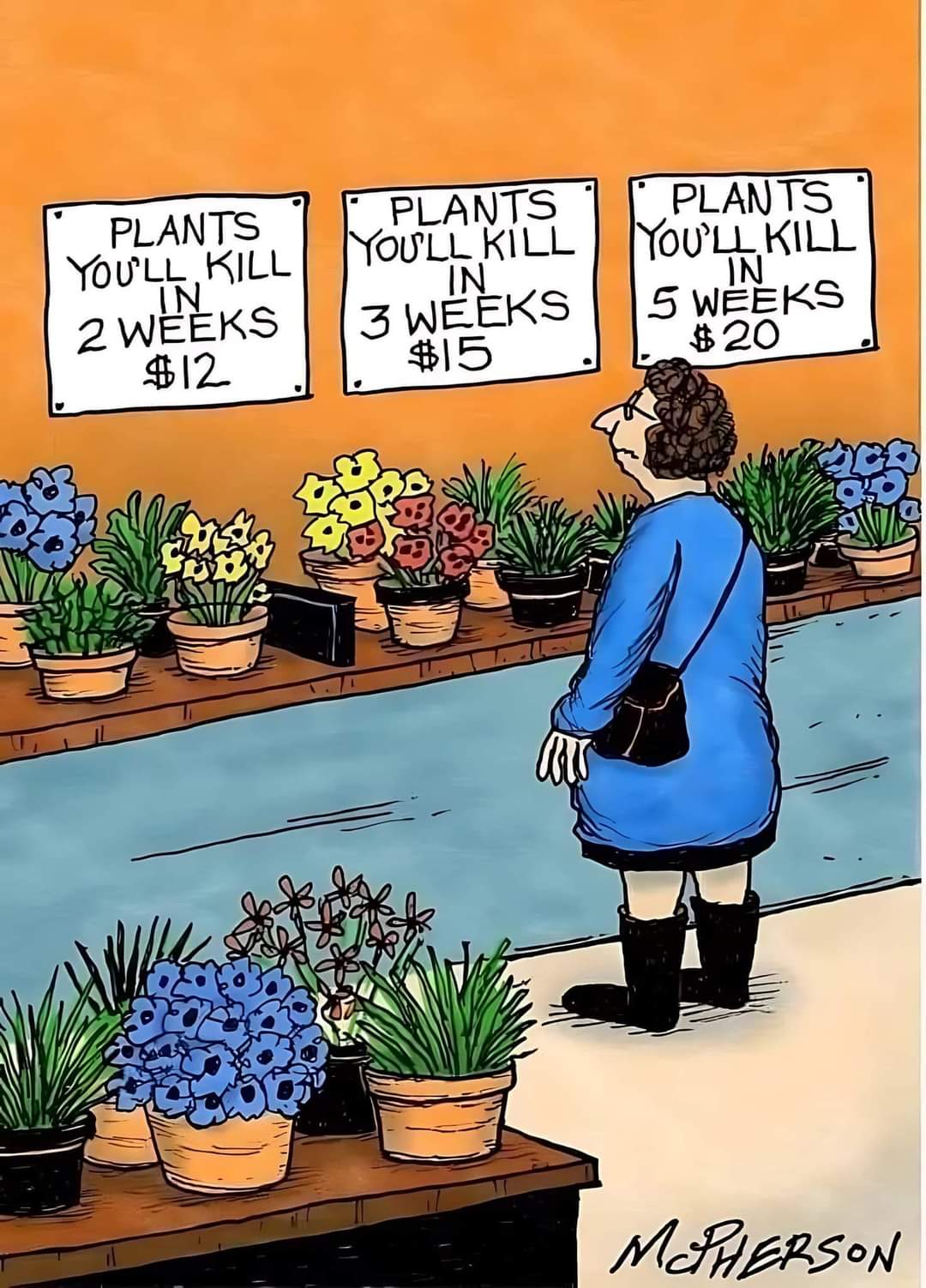 Plants you will kill in two weeks $12
Plants you will kill in three weeks $15
Plants you will kill in five weeks $20