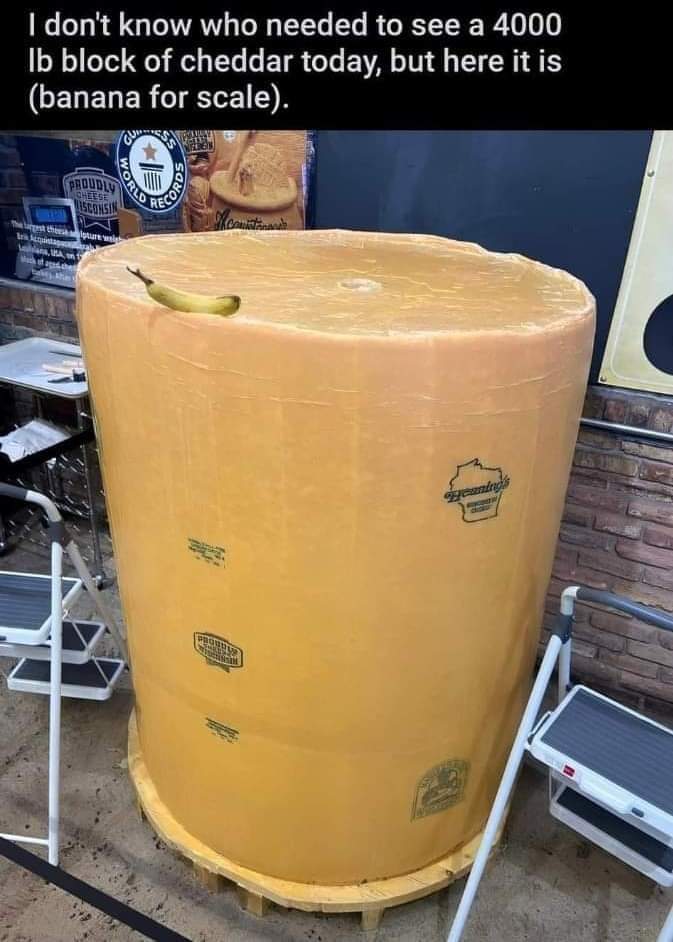 I don't know who needed to see a 4000 lb block of cheddar today, but here it is (banana for scale)