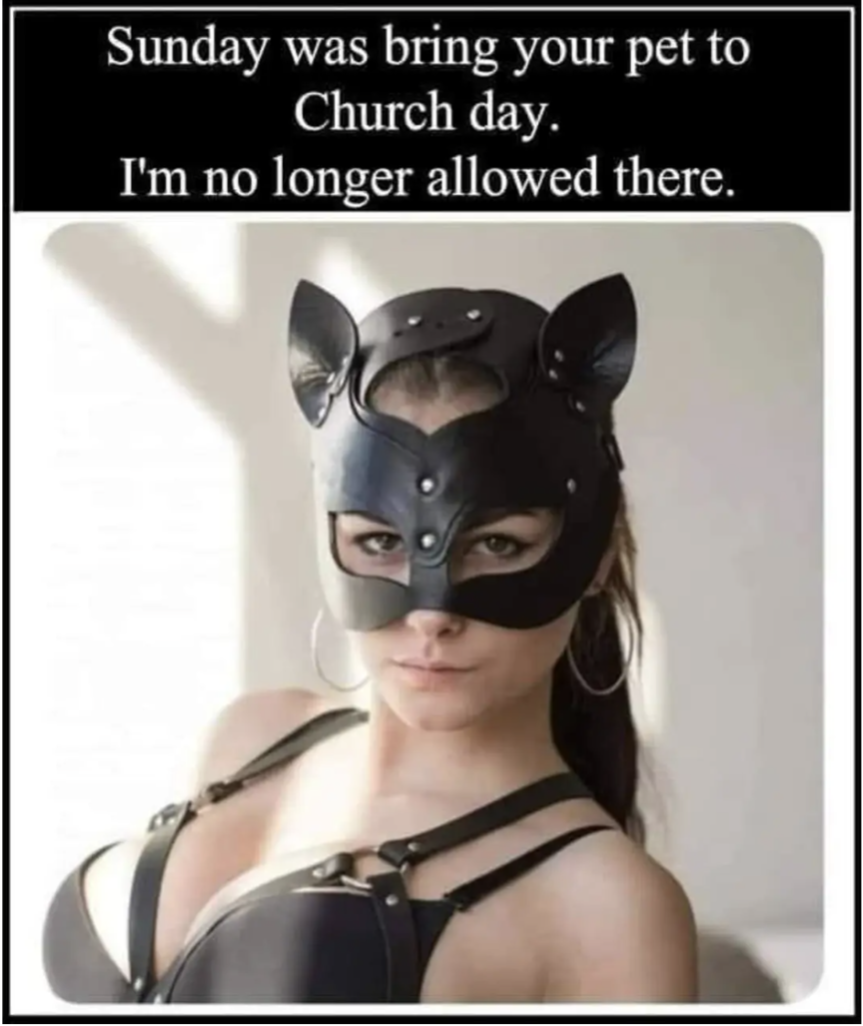 Sunday was bring your pet to church day.
I'm no longer allowed there.