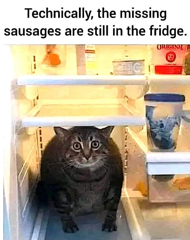 Technically, the missing sausages are still in the fridge
