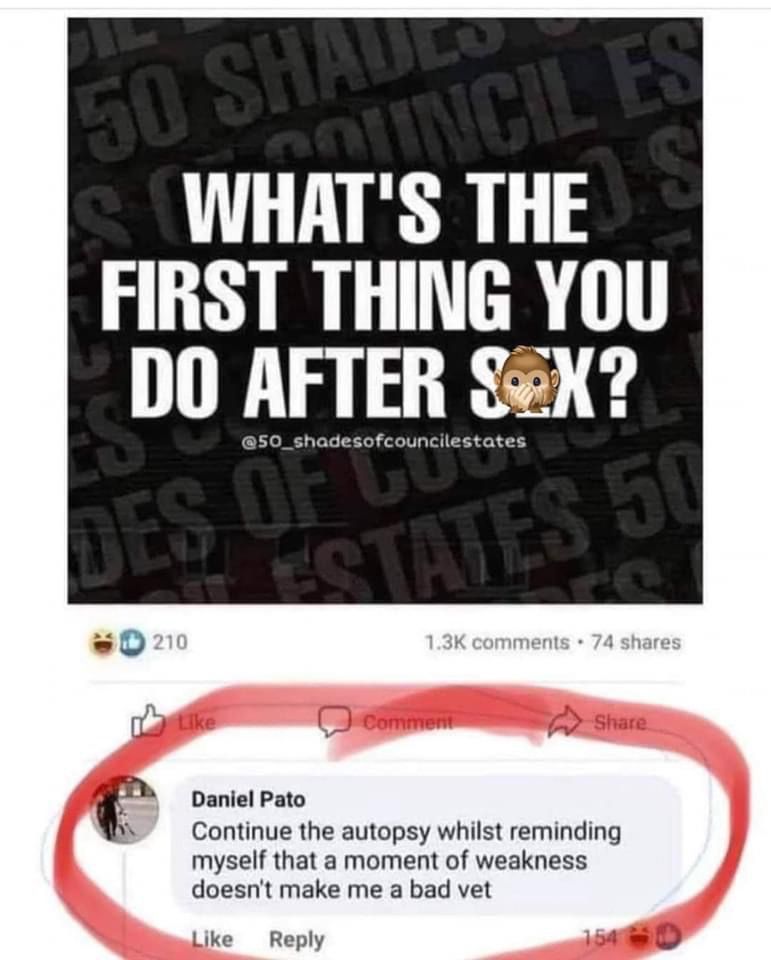 What's the first thing you do after sex?
Continue the autopsy whilst reminding myself that a moment of weakness does not make me a bad vet