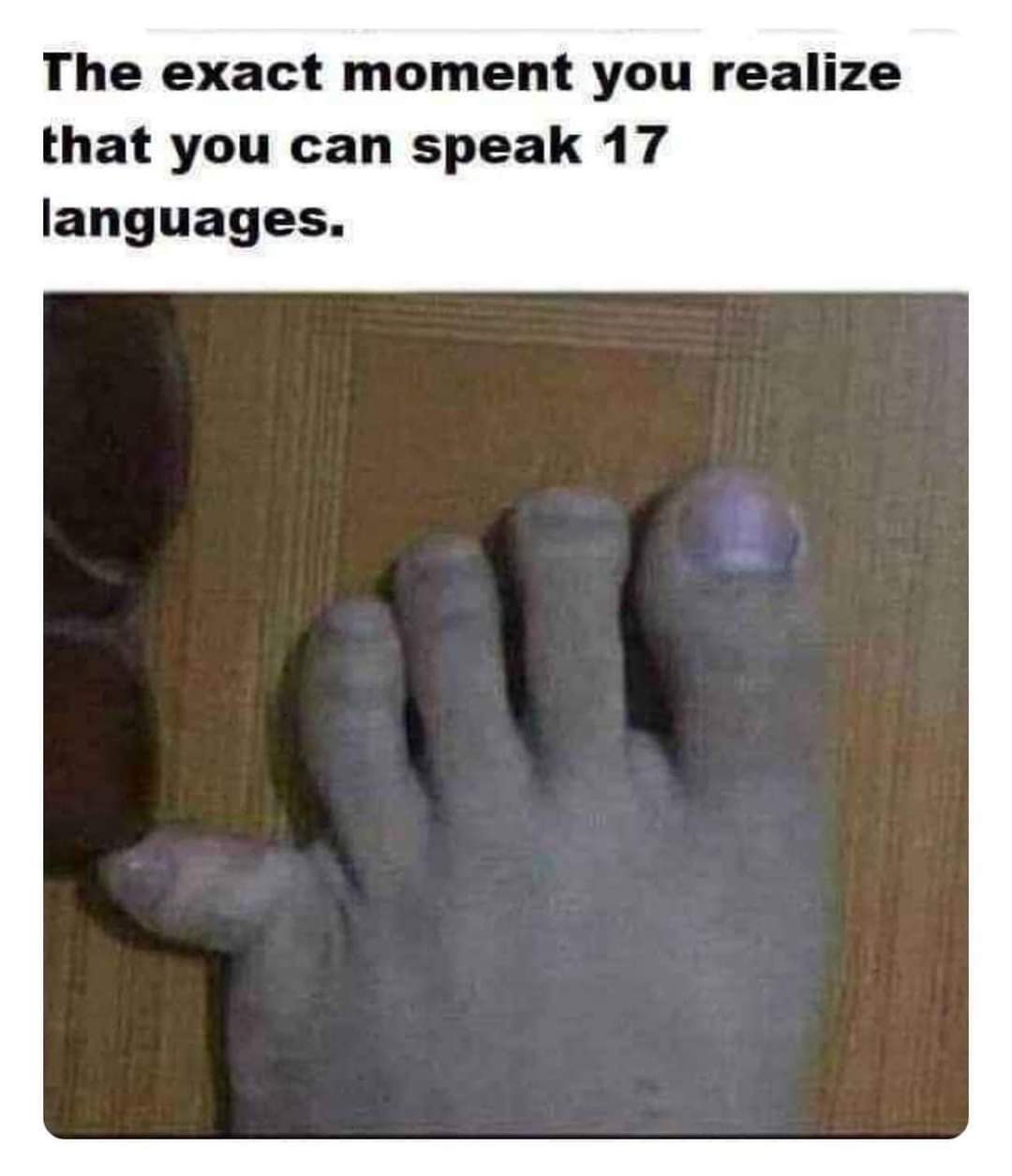 The exact moment you realize you can speak 17 languages.