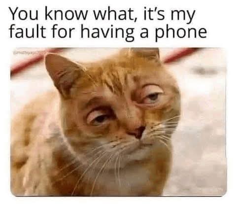 You know what, it's my fault for having a phone