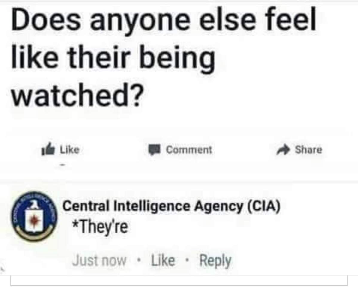 Does anyone else feel like their being watched?
Central Intelligence Agency (CIA) *They're
