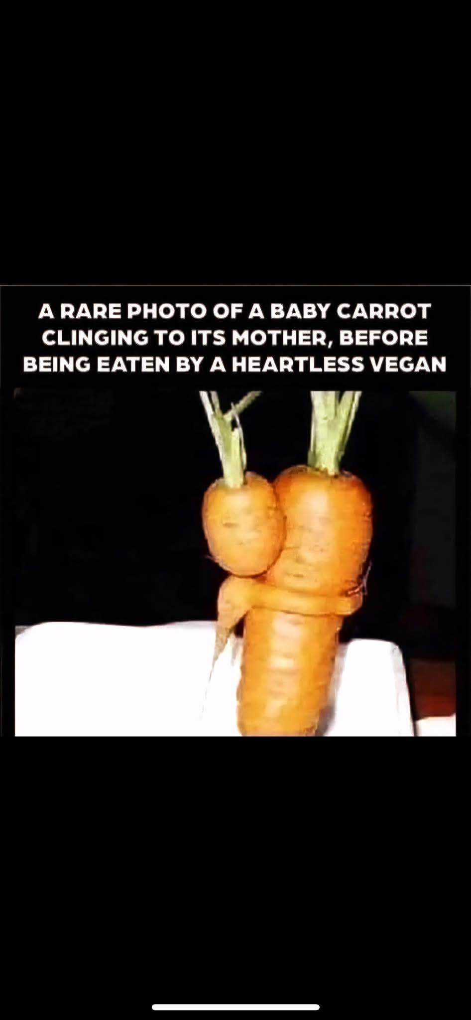 A RARE PHOTO OF A BABY CARROT CLINGING TO ITS MOTHER,
BEFORE BEING EATEN BY A HEARTLESS VEGAN