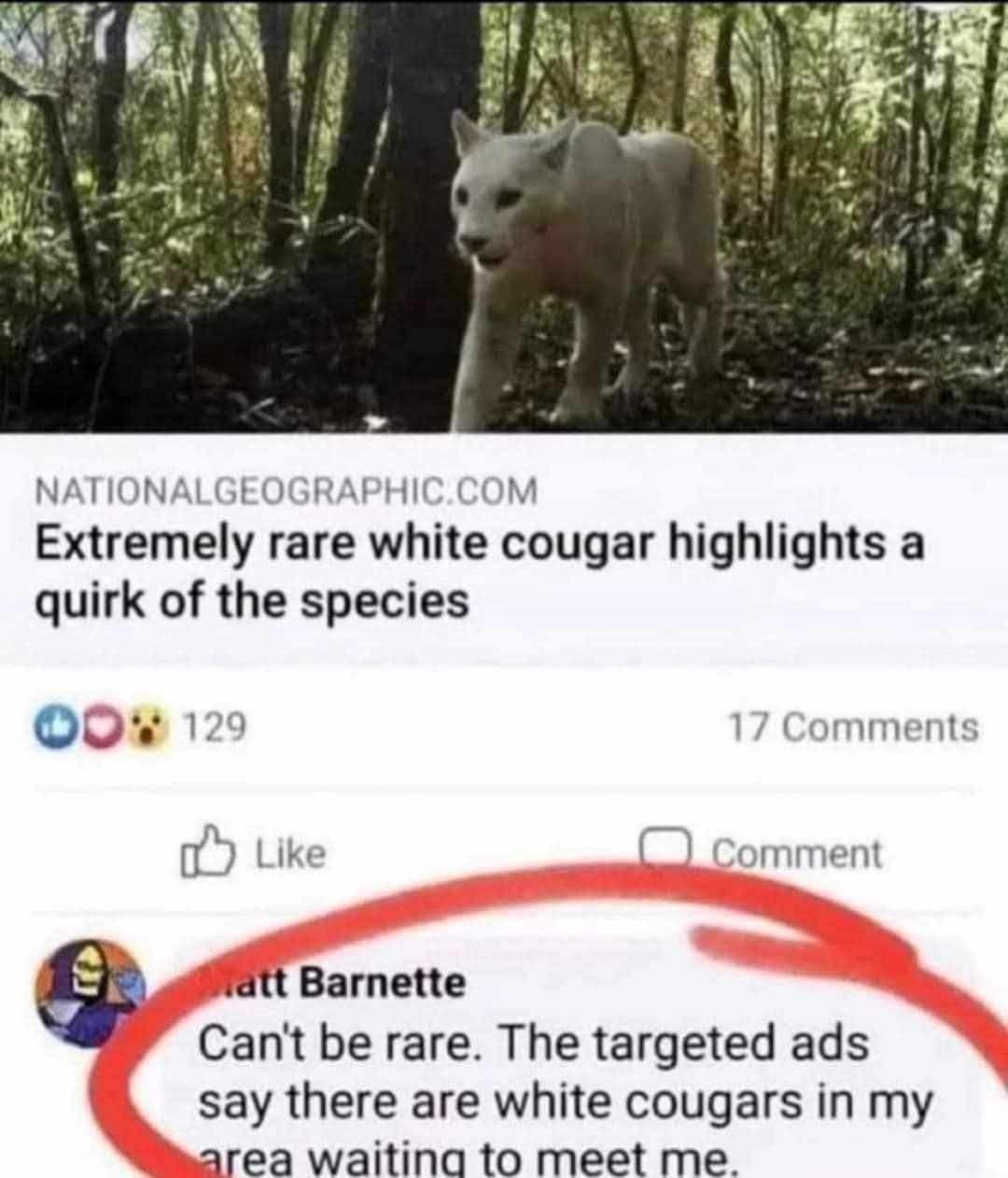 NATIONALGEOGRAPHIC.COM:Extremely rare white cougar highlights a quirk of the species  
Can't be rare. The targeted ads say there are white cougars in my area waiting to meet me.