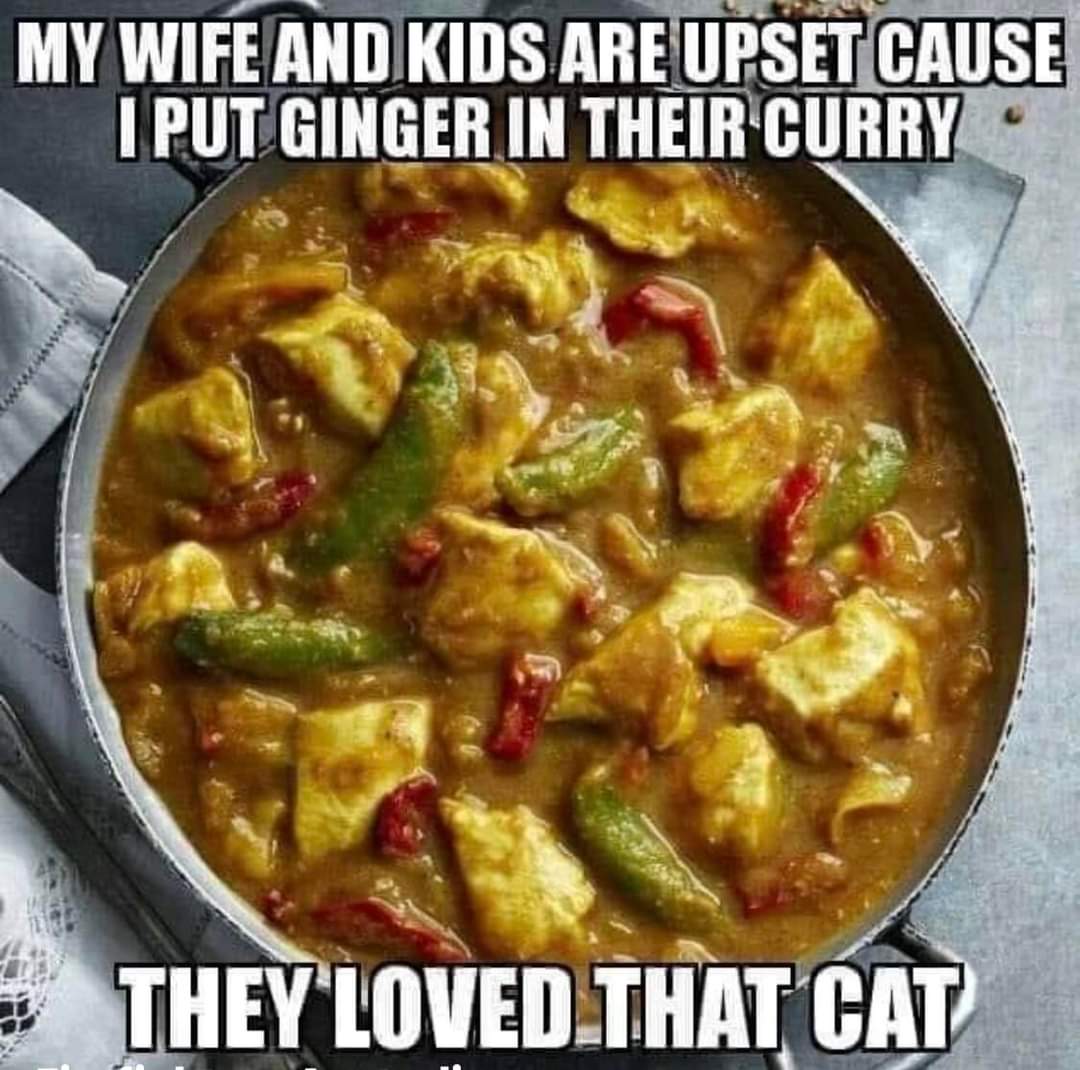 My wife and kids are upset cause I put ginger in their curry
They loved that cat
