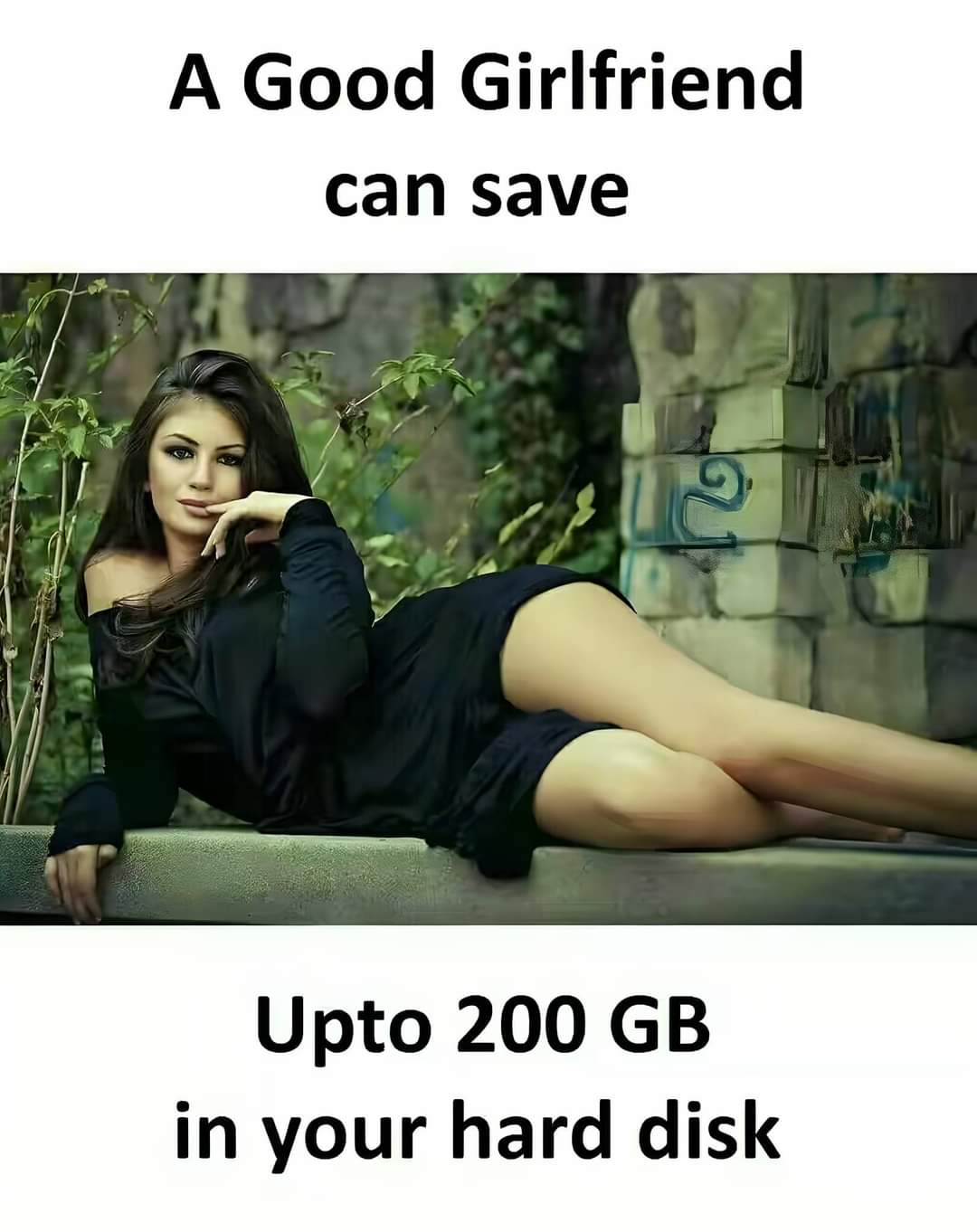 A good girlfriend ca save up to 200 GB in your hard disc