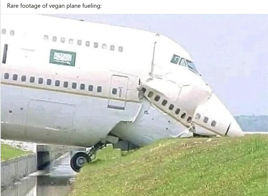 Rare footage of a vegan plane fuelling: