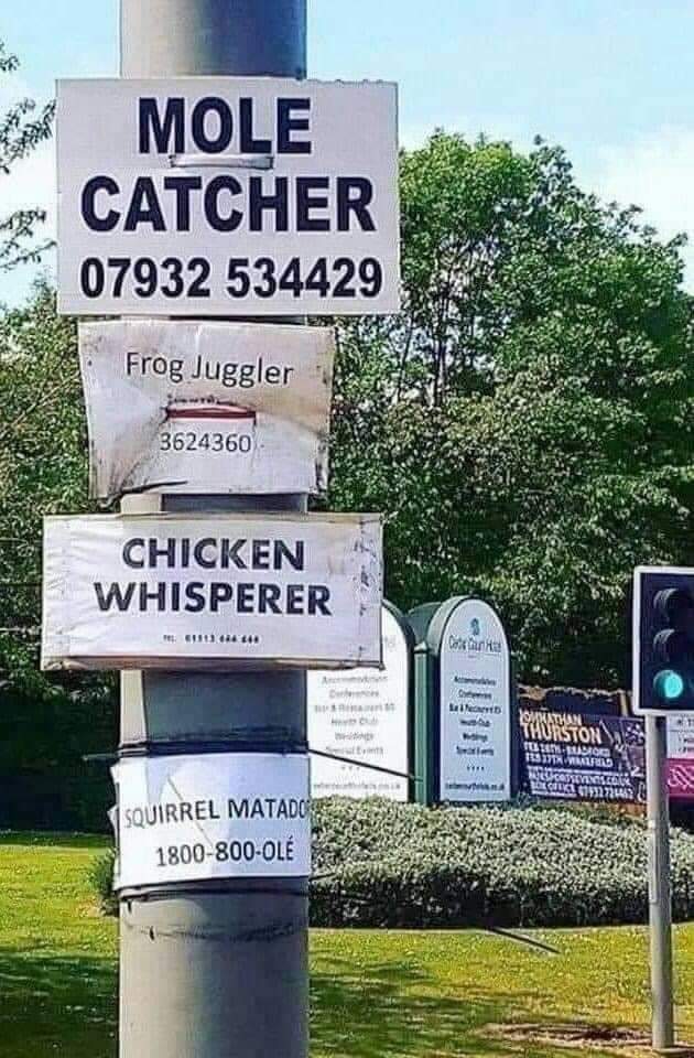 MOLE CATCHER
07932 534429

Frog Juggler
3624360

CHICKEN WHISPERER
1800-800-3534

Squirrel Mataor
1800-800-OLE
