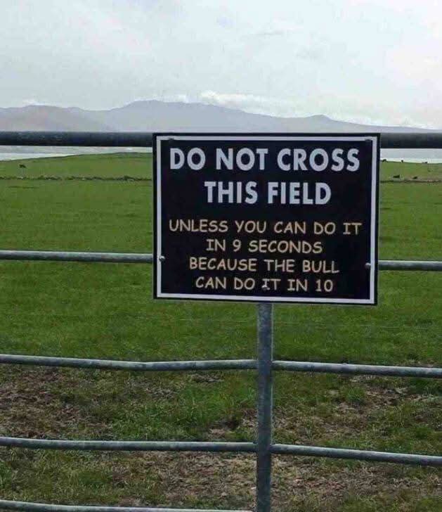 DO NOT CROSS THIS FIELD UNLESS YOU CAN DO IT IN 9 SECONDS BECAUSE THE BULL CAN DO IT IN 10