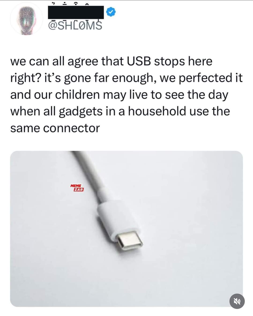 we can all agree that USB stops here right? it’s gone far enough, we perfected it
and our children may live to see the day when all gadgets in a household use the same connector