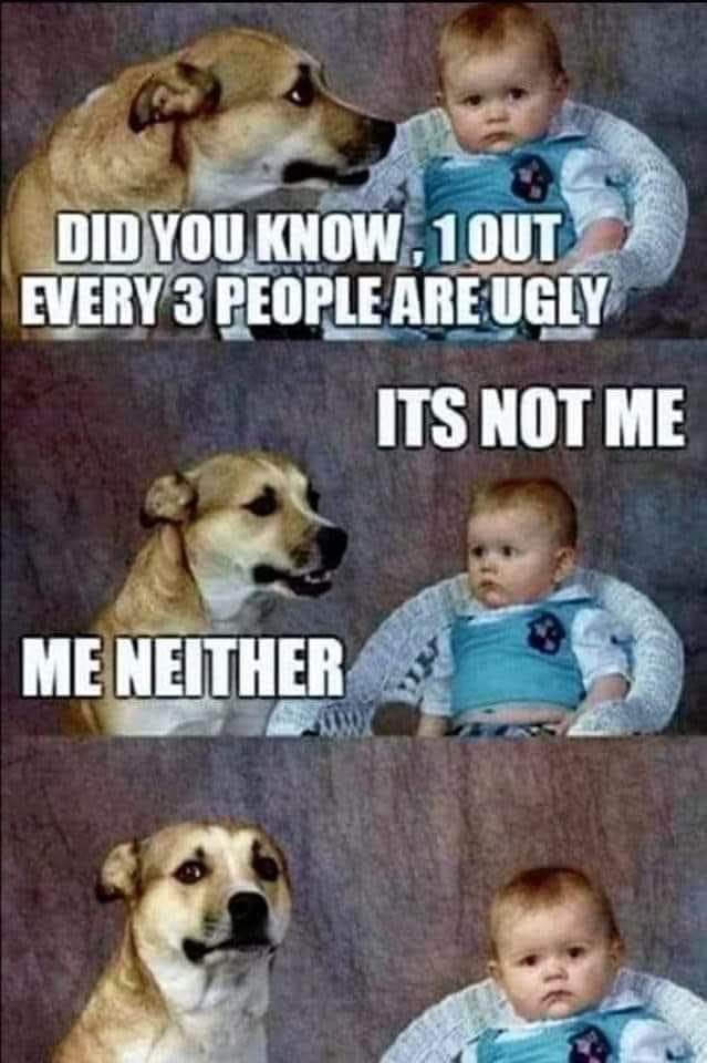 Did you know, 1 out of every 3 people are ugly
Its not me
Me neither
 