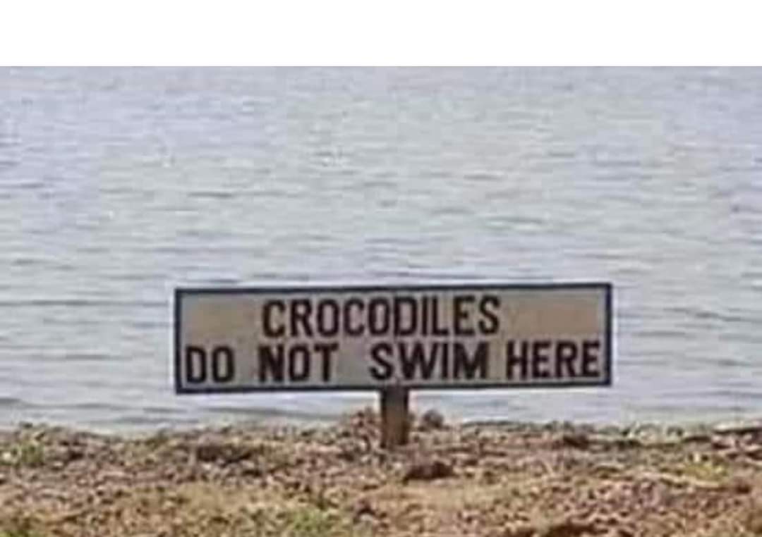 Crocodiles do not swim here