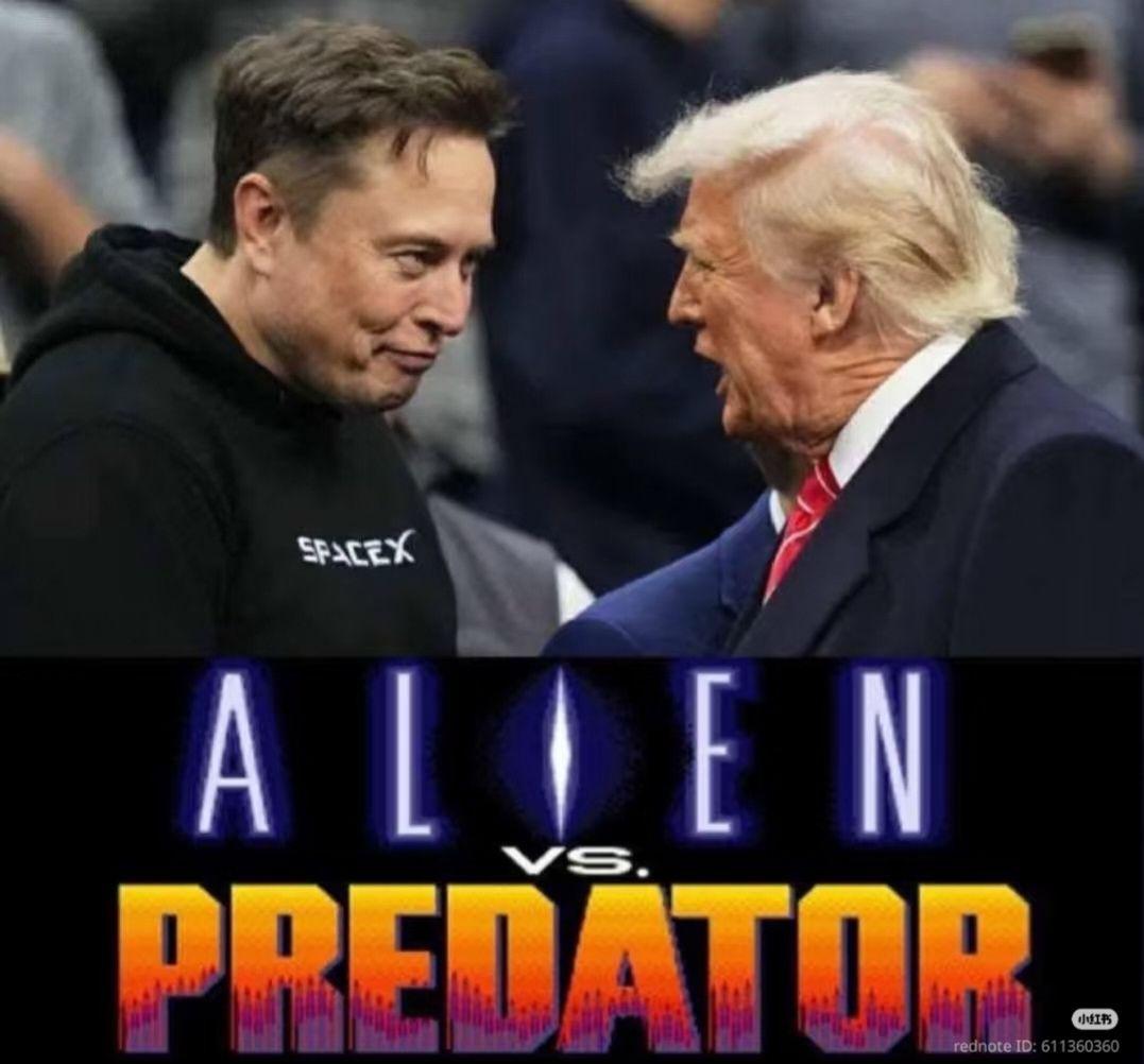 ALIEN vs PREDATOR  
