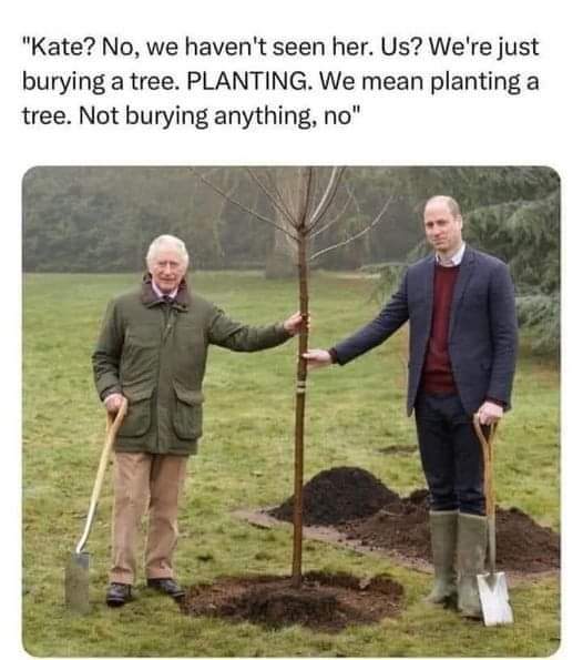 "Kate? No, we haven't seen her. Us? We're just burying a tree. PLANTING. We mean planting a tree. Not burying anything, no"