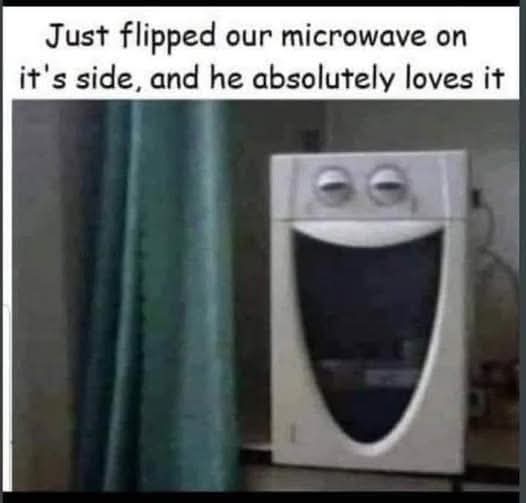 Just flipped our microwave on it's side, and he absolutely loves it