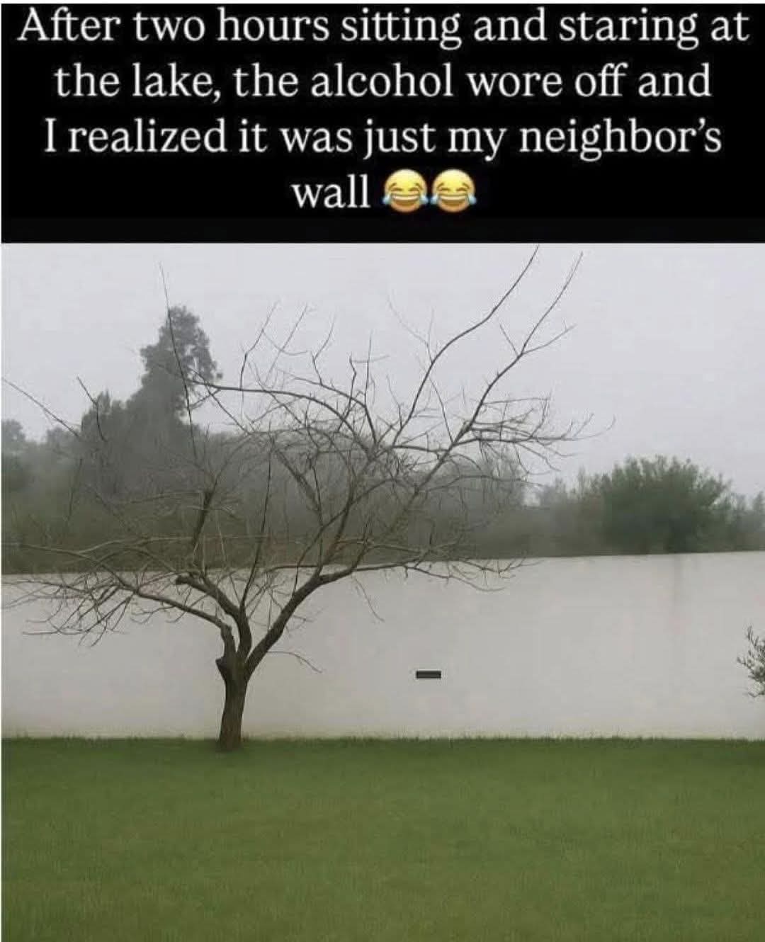 After two hours sitting and staring at the lake, the alcohol wore off and I realized it was just my neighbor's wall 😂😂