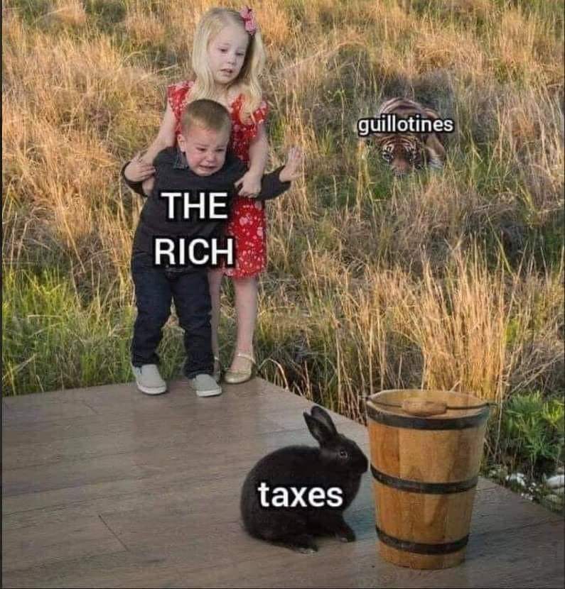 The Rich
Taxes
Guillotines