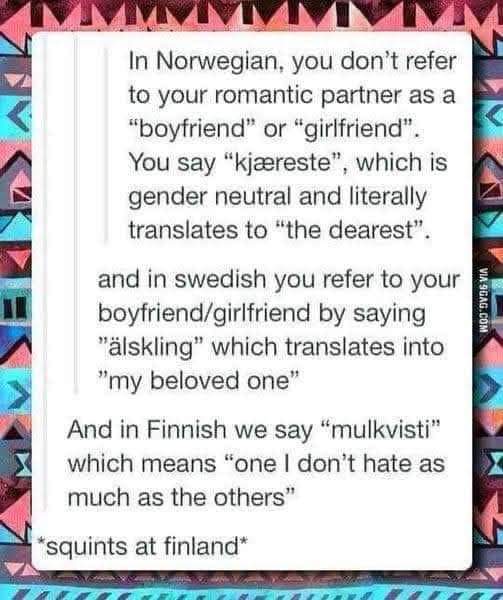 In Norwegian, you don’t refer to your romantic partner as a “boyfriend” or “girlfriend”. You say “kjeereste”, which is gender neutral and literally translates to “the dearest”.

And in Swedish you refer to your boyfriend/girlfriend by saying "alskling” which translates into "my beloved one”

And in Finnish we say “mulkvisti” which means “one I don’t hate as much as the others”

*Squints at Finland*