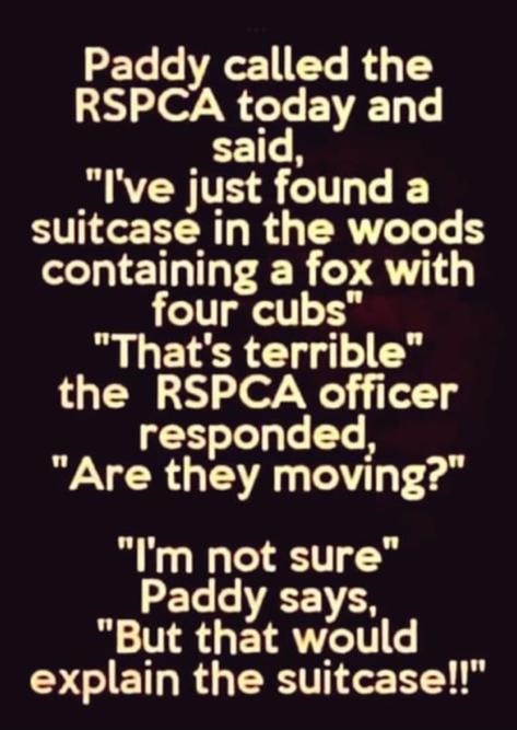 Paddy called the RSPCA today and said, "I've just found a suitcase in the woods containing a fox with four cubs 
"That's terrible" the RSPCA officer responded, "Are they moving?"
"I'm not sure" Paddy says, "But that would explain the suitcase" 