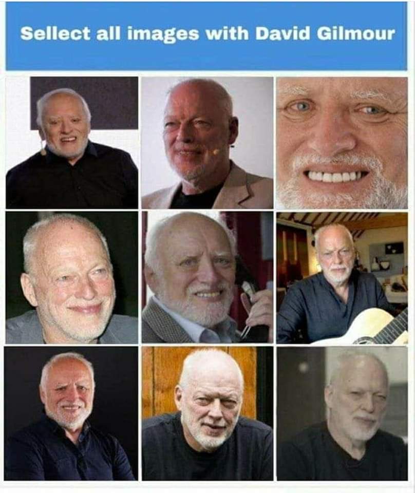 Select all images with David Gilmour