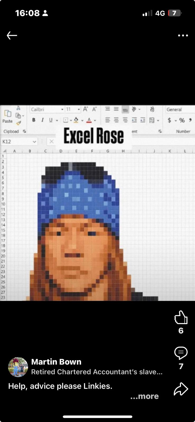 Excel Rose  
