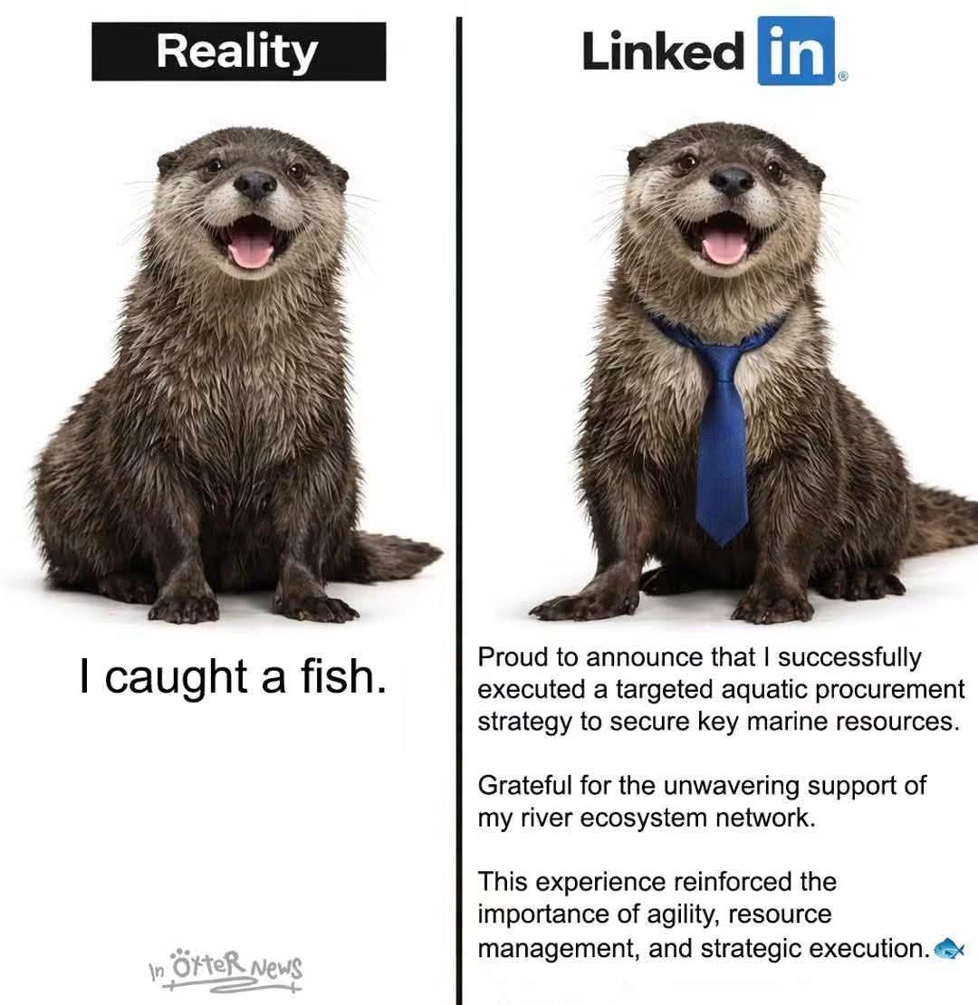 Reality: I caught a fish.  
LinkedIn: Proud to announce that I successfully executed a targeted aquatic procurement strategy to secure key marine resources.  
Grateful for the unwavering support of my river ecosystem network. This experience reinforced the importance of agility, resource management, and strategic execution.