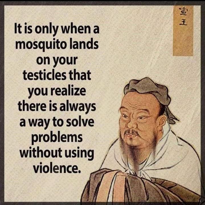 It is only when a mosquito lands on your testicles that you realise there is always a way to solve problems without using violence.