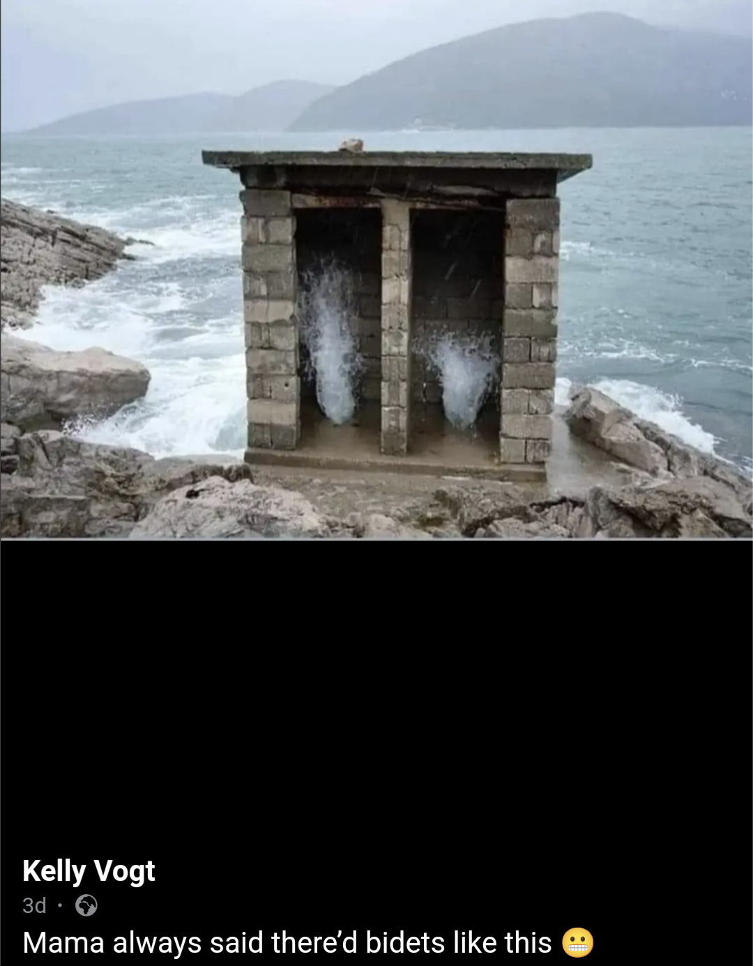 Mama always said there'd bidets like this