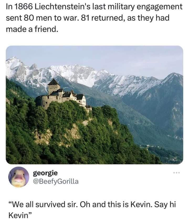 In 1866 Liechtenstein's last military engagement sent 80 men to war.
81 returned, as they had made a friend.

"We all survived sir. Oh and this is Kevin. Say hi Kevin"