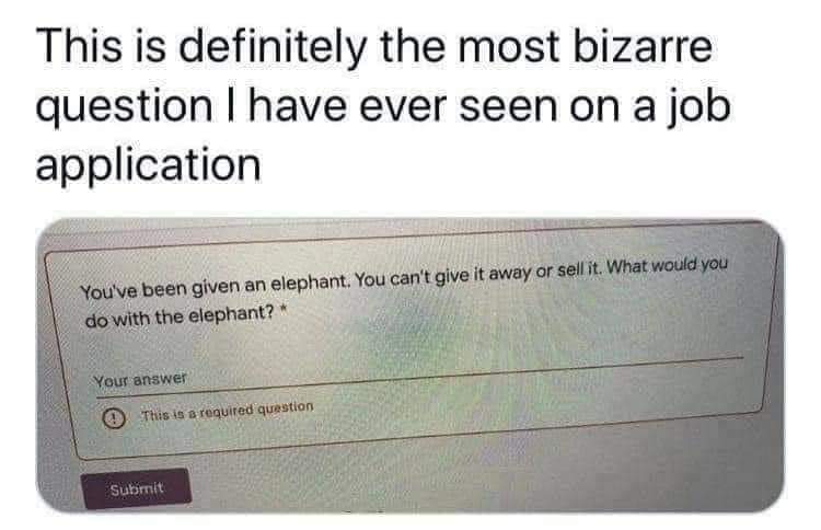 This is definitely the most bizarre question I have ever seen on a job application
You've been given an elephant. You can't give it away or sell it. what would you do with the elephant?