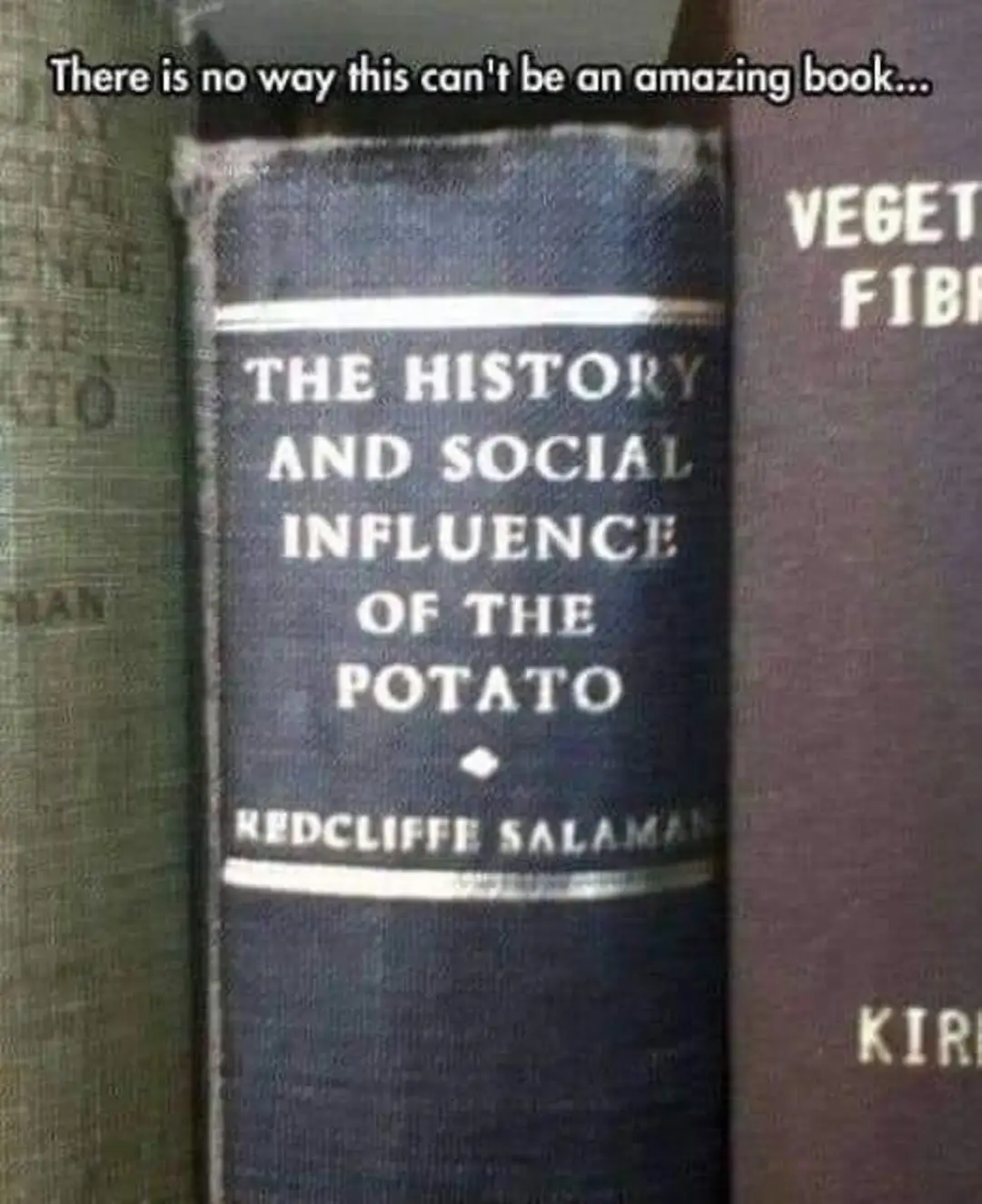 There is no way this can't be an amazing book...
The historical and social influence of the potato
Redcliff Salaman