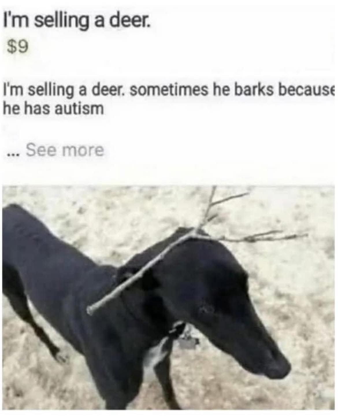 I'm selling a deer.  
$9  
I'm selling a deer. sometimes he barks because he has autism  