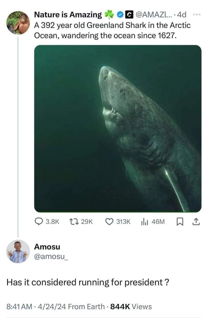 A 392 year old Greenland Shark in the Arctic Ocean, wandering the ocean since 1627.
Has it considered running for President?