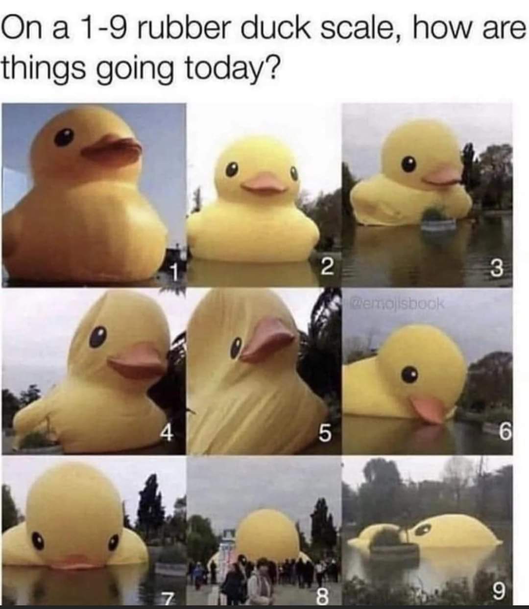 On a 1-9 rubber duck scale, how are things going today?