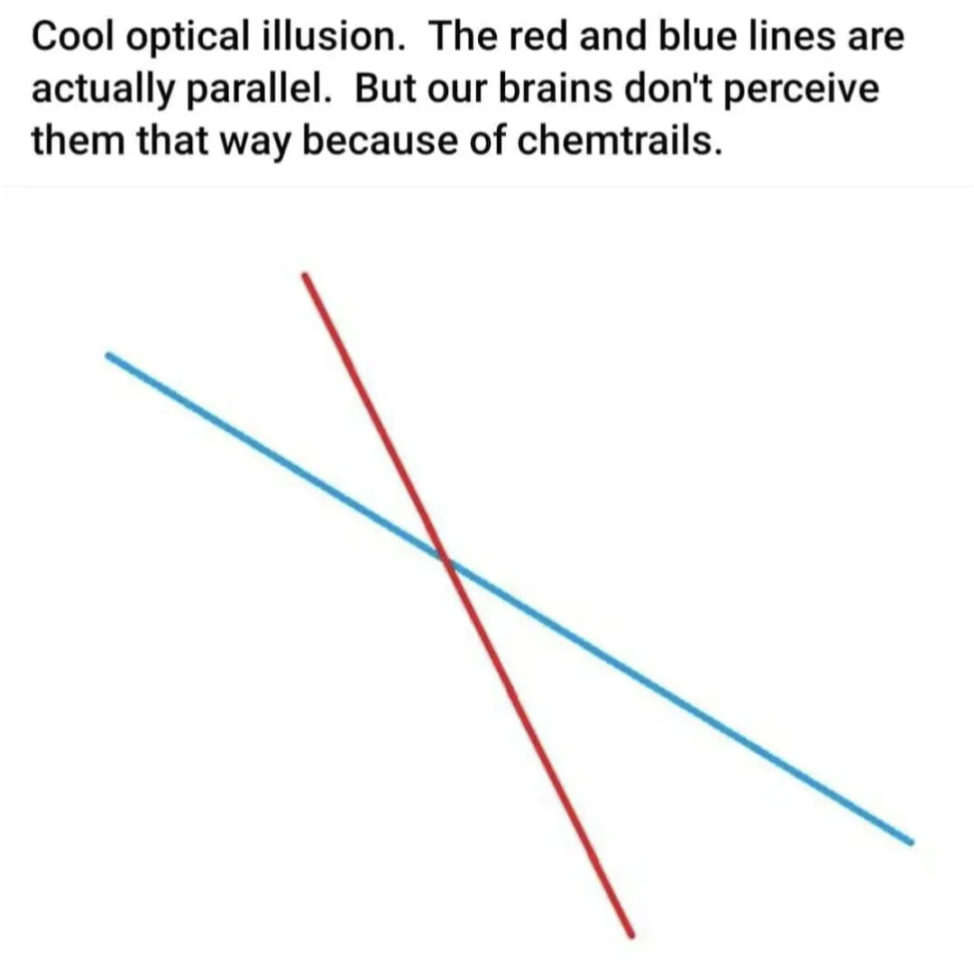 Cool optical illusion.
The red and blue lines are actually parallel.
But our brains don't perceive them that way because of chemtrails.