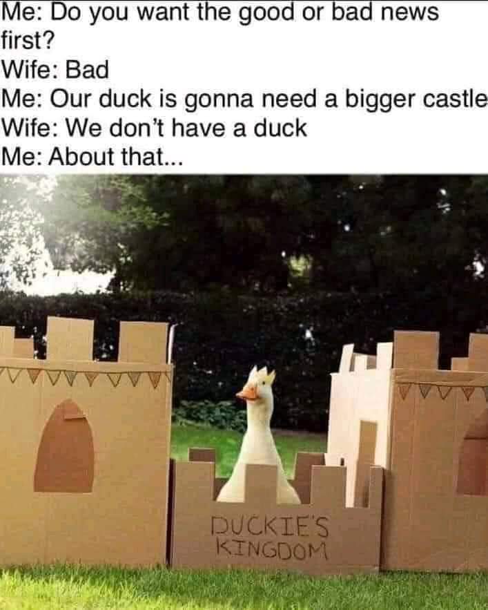Me: Do you want the good news or bad news first?
Wife: bad
Me: Our duck is gonna need a bigger castle
Wife: We don't have a duck
Me: About that 